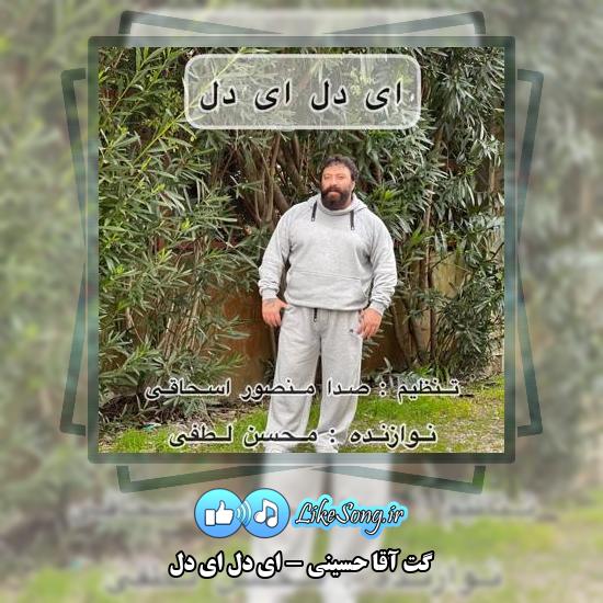 دانلود آهنگ گت آقا حسینی ای دل ای دل
